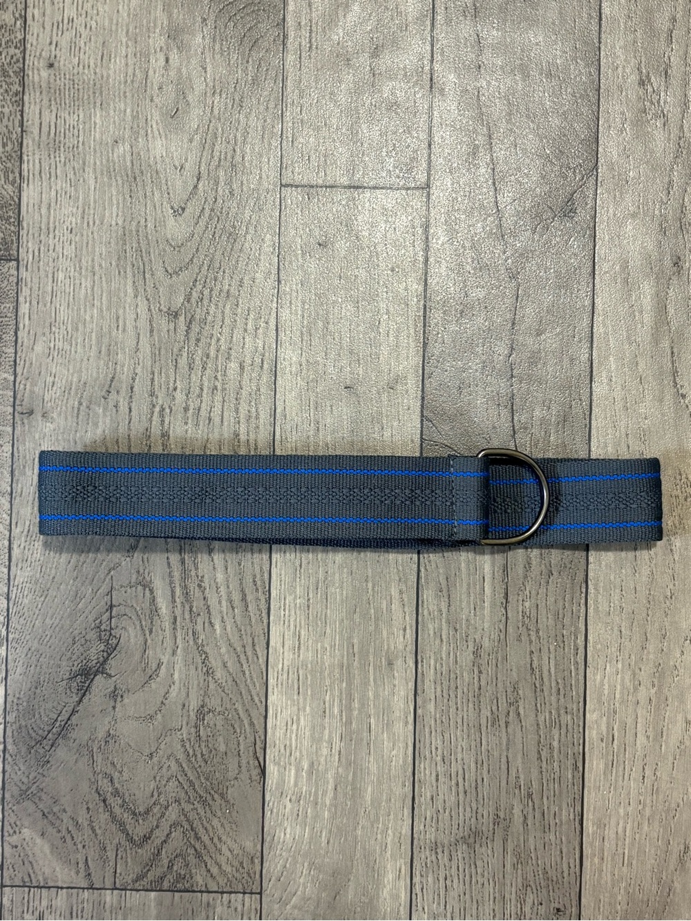 Men's Gray Belt with Blue Stripe - Minimal D-Ring Closure